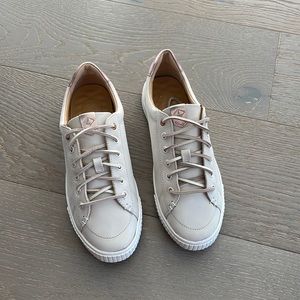Sperry sneaker